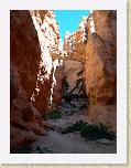 419. navajo loop * 1704 x 2272 * (2.23MB)